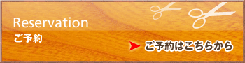 ����s�@���e���A�h�}�[�j[Adomani]�^�\��